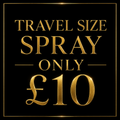 Travel size x3 strength tanning spray
